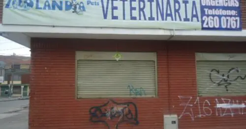 ZOOLANDIA PETS VETERINARIA BOGOTÁ ZOOLANDIA PETS VETERINARIA BOGOTÁ